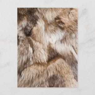 Carte Postale Élégante texture de fourrure