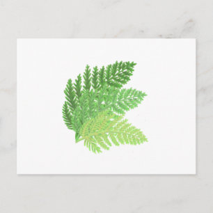 Carte Postale Élégantes feuilles de forêt de fougères aquarelle 