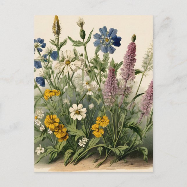 Carte Postale Élégants Fleurs sauvages Vintages (Devant)