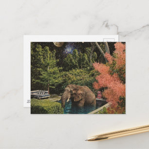 Carte Postale Élément surréaliste Beau Éléphant dans la piscine