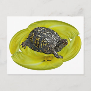 Carte Postale Éléments de coordination de la tortue de boîte ori