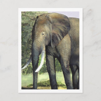 Carte postale Elephant