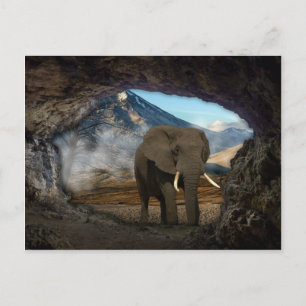 Carte Postale Eléphant