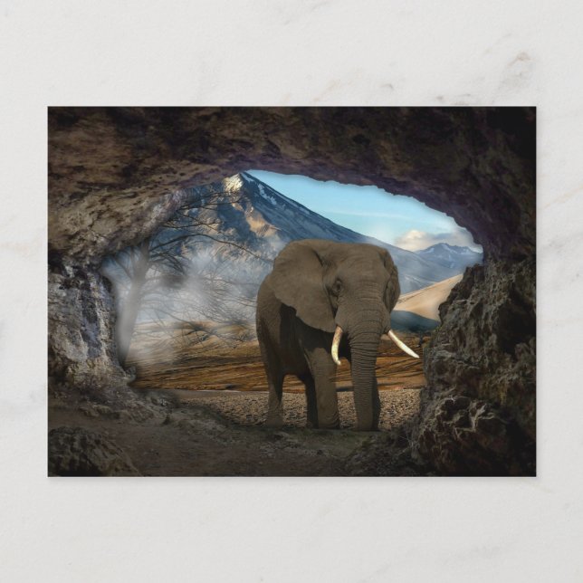 Carte Postale Eléphant (Devant)