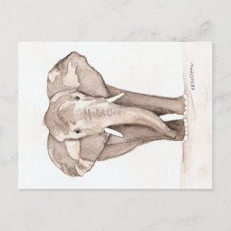 carte postale éléphant