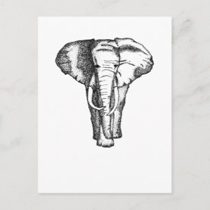 Carte Postale éléphant