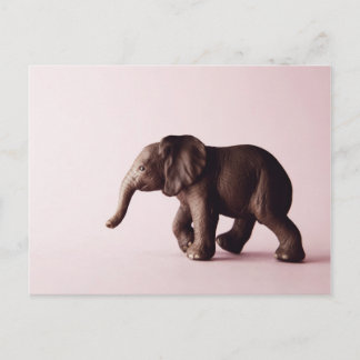 Carte postale Elephant