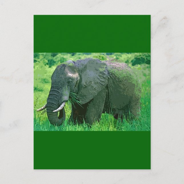 Carte Postale Eléphant (Devant)