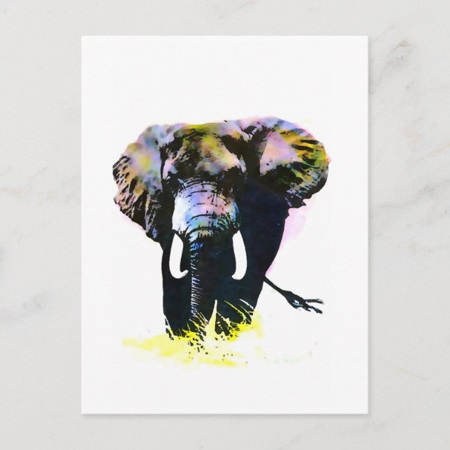 Carte Postale Eléphant (Devant)