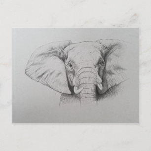 Carte Postale Elephant 2011