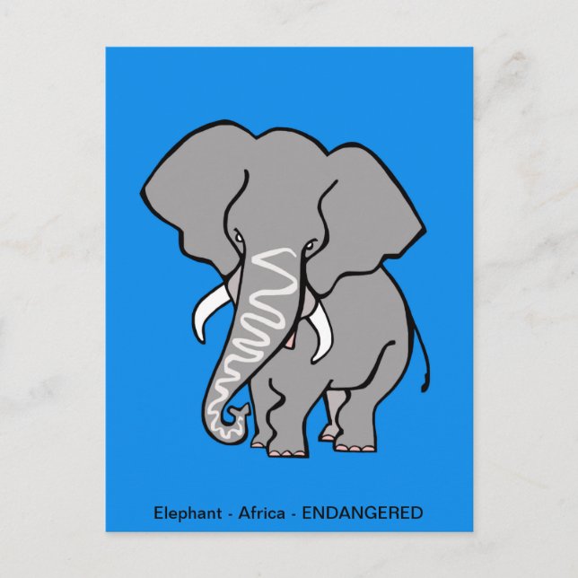Carte Postale ELEPHANT africain - Conservation - écologie - Bleu (Devant)