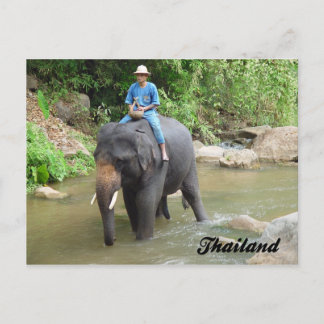 Carte Postale Elephant and Mahout Chiang Mai, Thailand Postcard