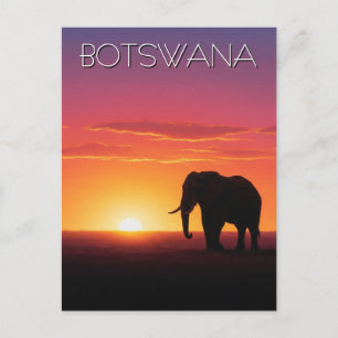 Carte Postale Eléphant au Botswana au coucher du soleil