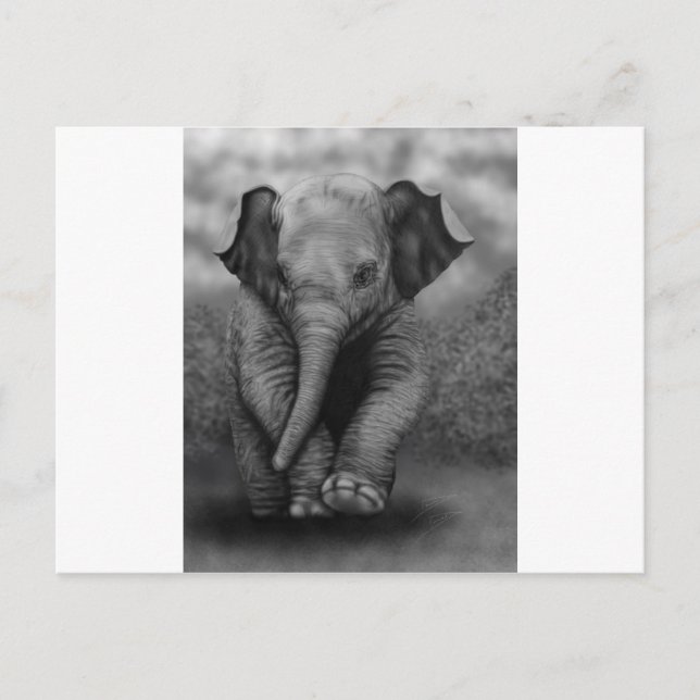 Carte Postale Eléphant bébé (Devant)