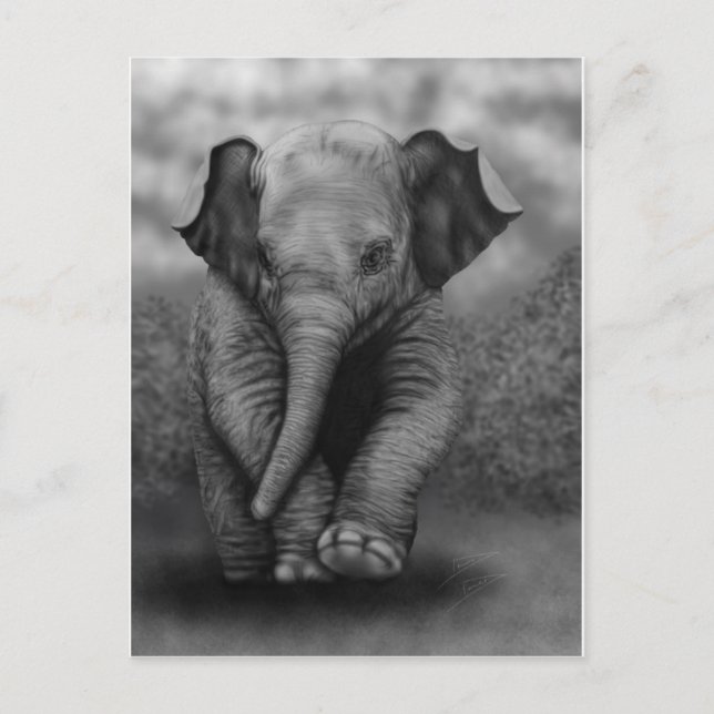 Carte Postale Eléphant bébé (Devant)
