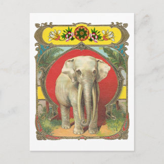Carte Postale Eléphant blanc