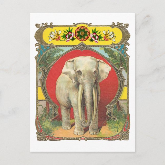 Carte Postale Eléphant blanc (Devant)