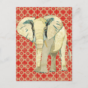 Carte postale Eléphant Blanc