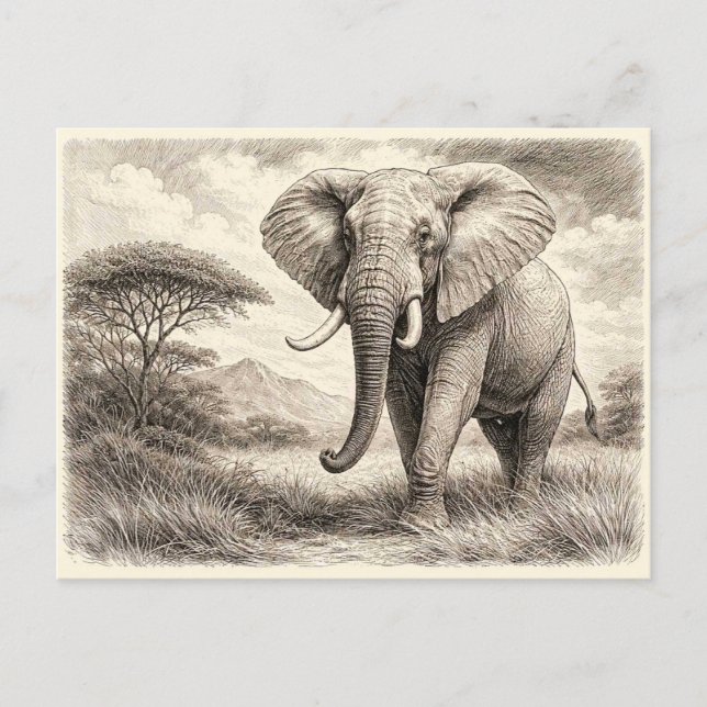 Carte Postale Éléphant d'Afrique. Collectionnable  (Devant)