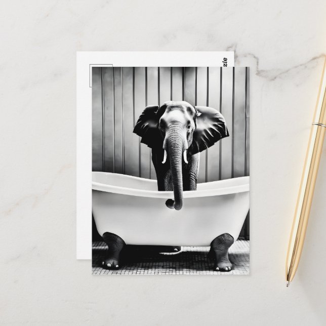Carte Postale Eléphant dans le bain (Devant/Arrière en situation)