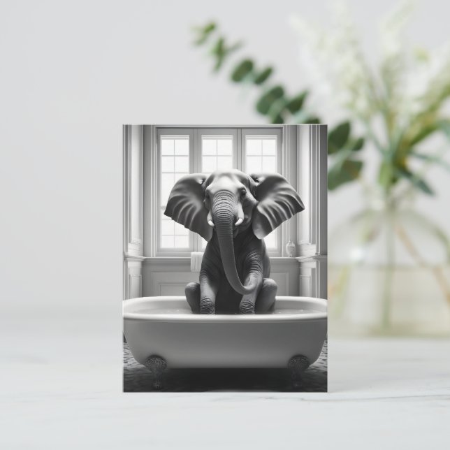 Carte Postale Eléphant dans le bain (Debout devant)