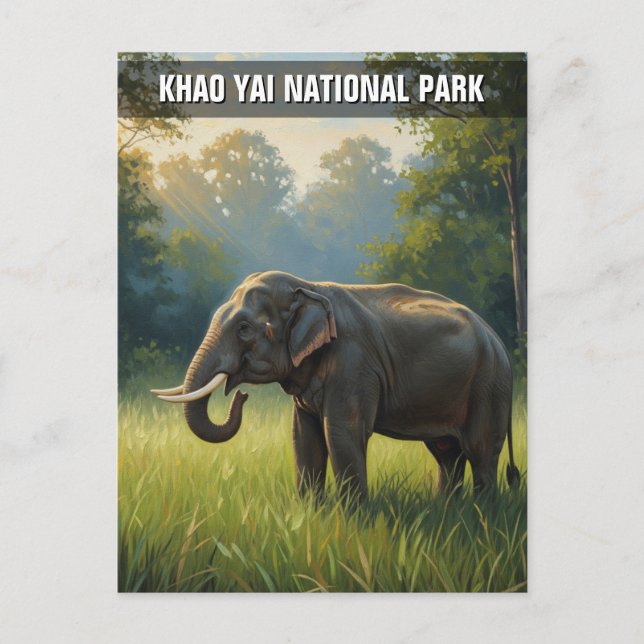 Carte Postale Elephant dans le parc national de Khao Yai Thaïlan (Devant)
