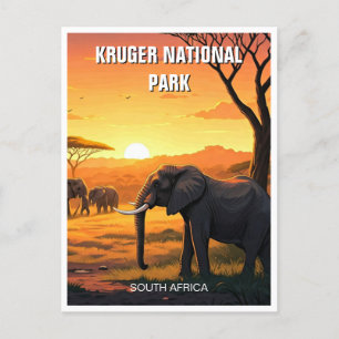 Carte Postale Elephant dans le parc national Kruger Afrique du S