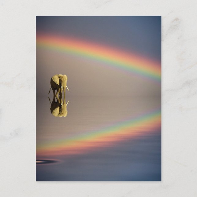 Carte Postale Éléphant, eau et arc-en-ciel, Kenya (Devant)