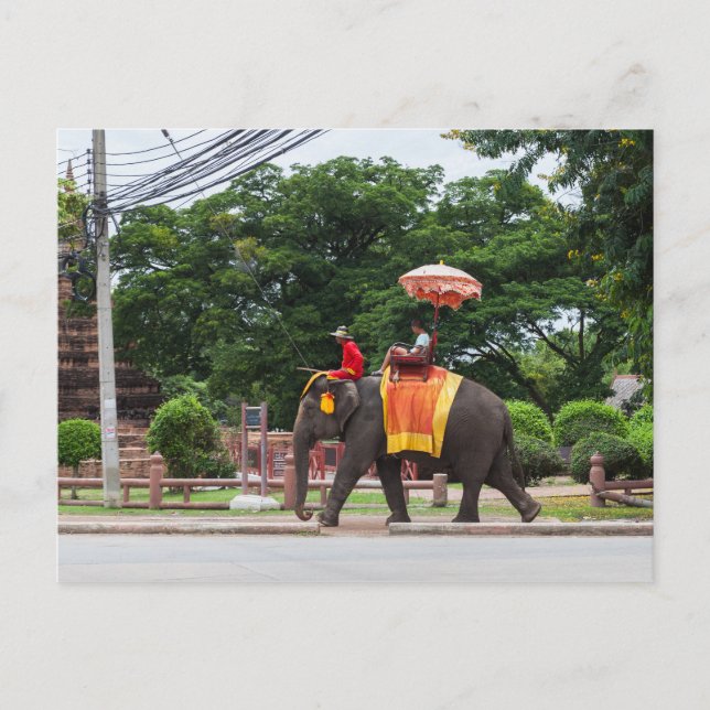 Carte Postale Elephant en Ayutthaya Thaïlande (Devant)