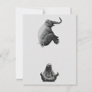 Carte Postale Éléphant et paresseux méditatif en harmonie