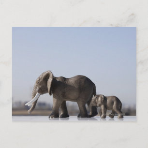 Carte Postale Elephant Famille arrière - plan ciel bleu