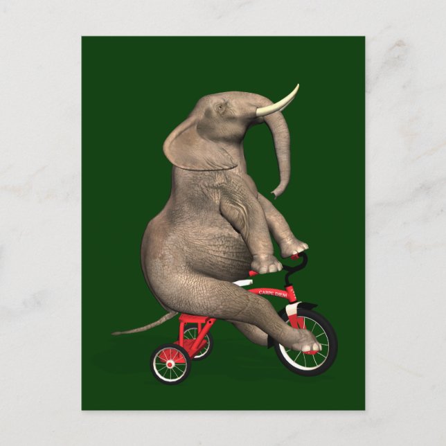 Carte Postale Eléphant Gentil À Tricycle (Devant)