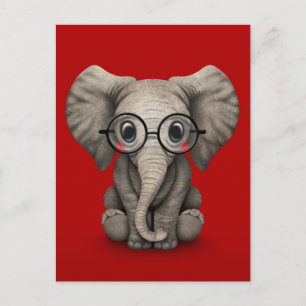 Carte Postale Eléphant mignon bébé avec lunettes de lecture Roug