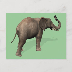 Carte Postale Elephant Prendre Un Selfie