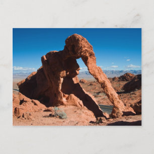 Carte Postale Elephant Rock