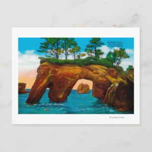 Carte Postale Elephant Rock sur la côte de Washington