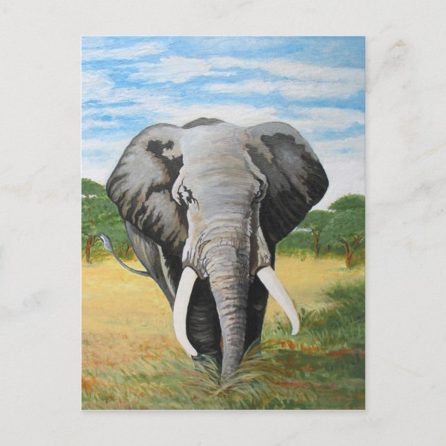 Carte Postale Eléphant sauvage (Devant)