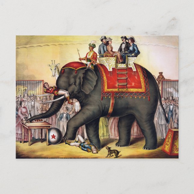 Carte Postale Éléphant vintage de cirque (Devant)