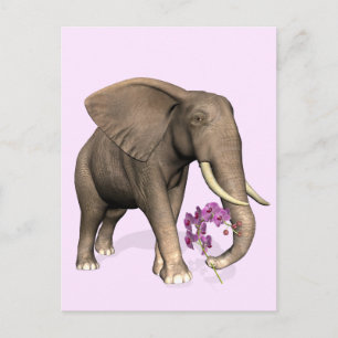 Carte Postale Elephant With Pink Orchid