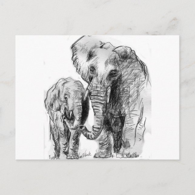 Carte Postale elephantonajourney (Devant)