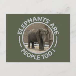 Carte postale ELEPHANTS