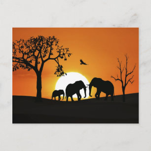 Carte Postale Eléphants au coucher du soleil