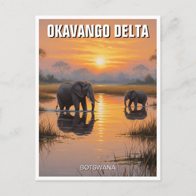 Carte Postale Eléphants dans le delta de l'Okavango Botswana (Devant)