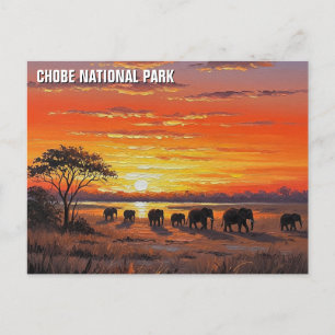 Carte Postale Eléphants dans le Parc national de Chobe Botswana