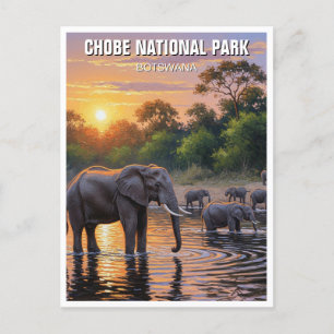 Carte Postale Eléphants dans le Parc national de Chobe Botswana