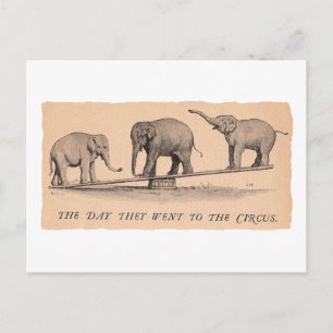 Carte Postale éléphants de cirque