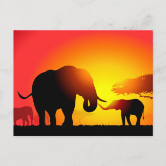 Carte Postale Eléphants mère et enfant au coucher du soleil