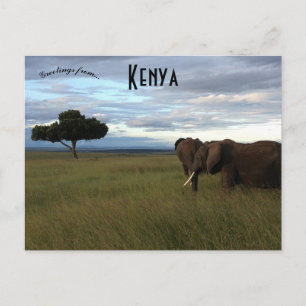 Carte Postale Eléphants sur une plaine au Kenya