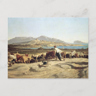 Carte Postale Élevage de bovins près de Marseille, 1853 (huile s