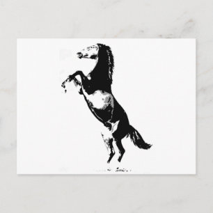 Carte Postale Élevage de chevaux